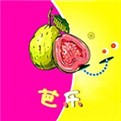 快狗视频app下载入口